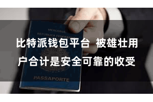 比特派钱包平台 被雄壮用户合计是安全可靠的收受