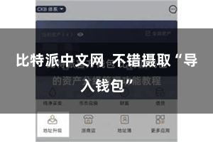比特派中文网 不错摄取“导入钱包”