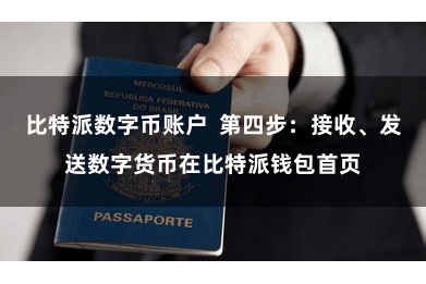 比特派数字币账户  第四步：接收、发送数字货币在比特派钱包首页