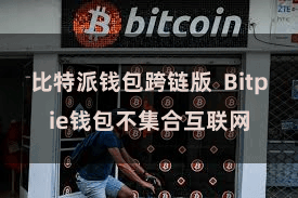 比特派钱包跨链版  Bitpie钱包不集合互联网