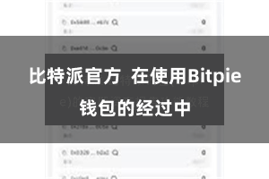 比特派官方  在使用Bitpie钱包的经过中