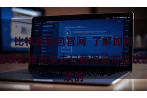 比特派钱包官网 了解如何稽察比特币来去记载瑕瑜常进攻的