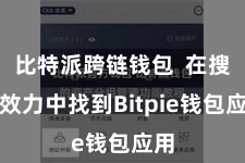 比特派跨链钱包  在搜索效力中找到Bitpie钱包应用