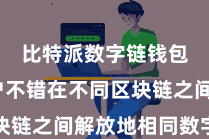 比特派数字链钱包 用户不错在不同区块链之间解放地相同数字金钱